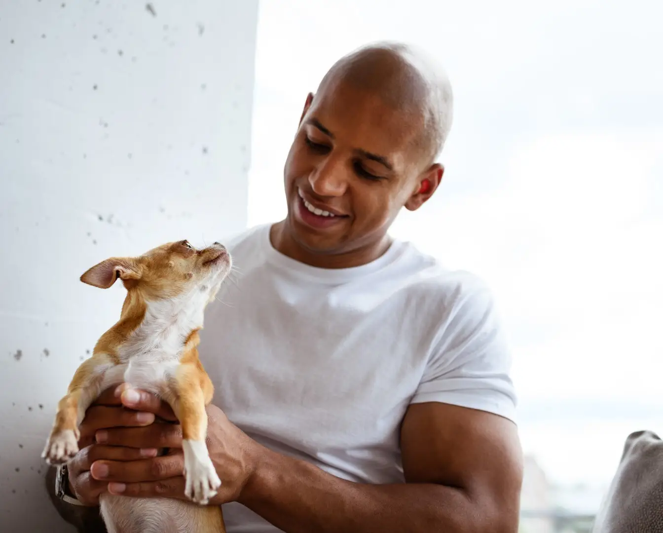 Cheerful african american man holding Chihuahua dog near window at home